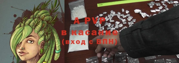 гашик Нягань